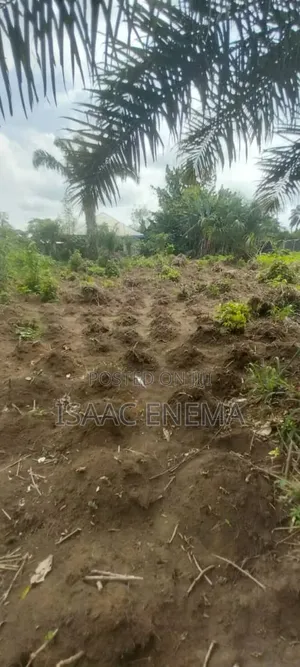 3 Plots of Land