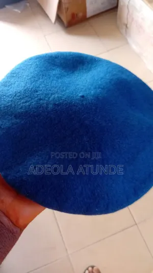 Officer Blue Beret