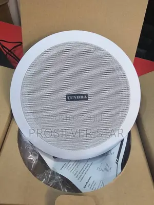 Tundra 30watts Frame Speaker T-30c