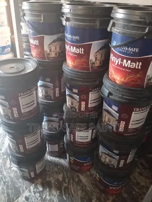 Vinyl Interior and Exterior Paint