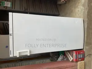 Liebher Five Steps Non Frost Standing Freezer