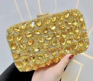 Elegant Design Clutch for Classy Women