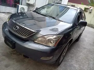 Lexus RX 2007 Gray
