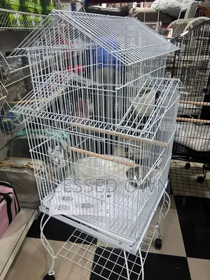 High Standard Imported Bird Cage