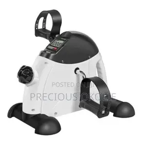 Mini Bike Exercise Machine