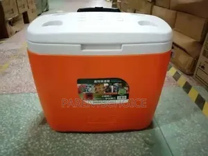 48l Gint Cooler