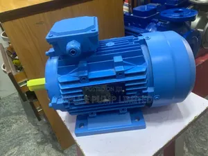 Electric Motor