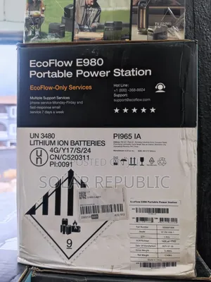Ecoflow E980 1kwh Solar Generator