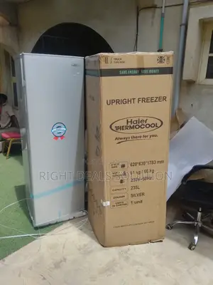 Haier Thermocool Commercial-Grade Upright Freezer – For Daily Use