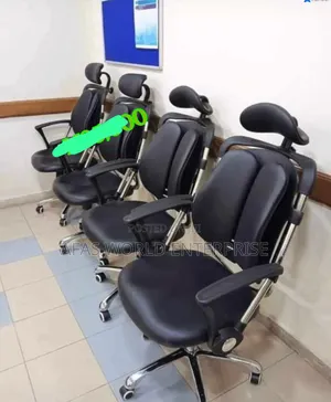 Original Kidney Chair for Back Pain Relief
