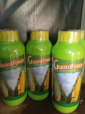 Guard Force