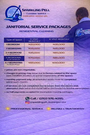 Cleaning Service