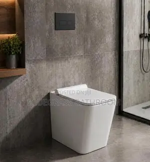 Mount on the Floor Conceal W.C