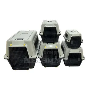 Aviation Standard Carrier for Dogs, Cats and All Kinds of Pets