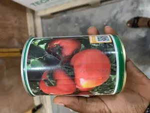 Tomato Tingal
