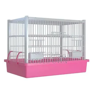 Parrots Bird Colorful Cage