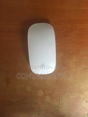 Apple Mouse