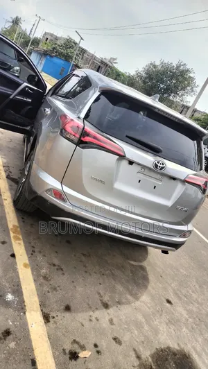 Toyota RAV4 XLE 4dr SUV (2.5L 4cyl 6A) 2015 Silver