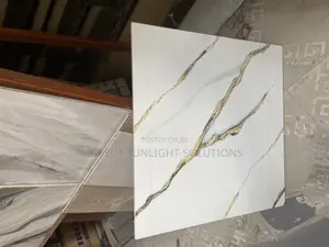 60 by 60 Floor Tile Sitting Room Glossy
