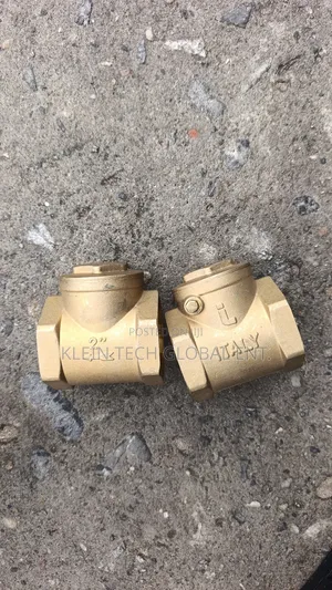 Brass Non Return Valve