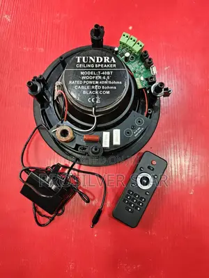 Tundra 40watts Single Speaker