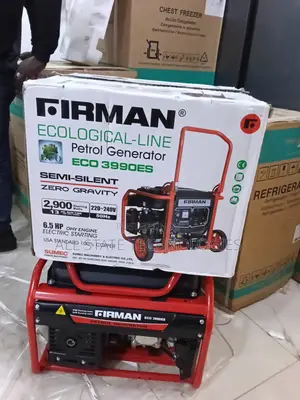 Firman Eco 3990es Generator – Perfect for Small Businesses