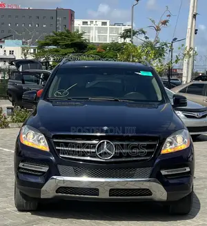Mercedes-Benz M Class 2015 Blue