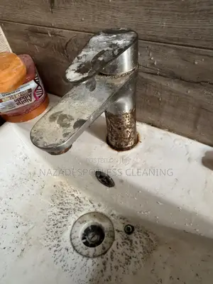 Cleaning Service