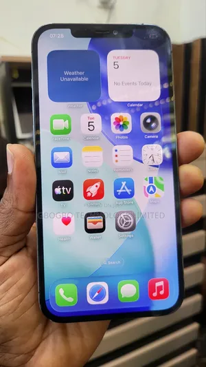 Apple iPhone 12 Pro Max 256 GB Gray