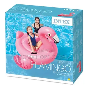 Intex Inflatable Pool Float Flamingo