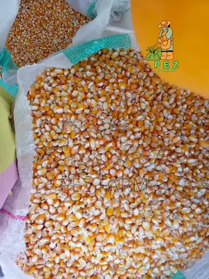 100kg Bag of Corn