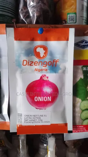 Onion Nuptune F1 Seed 10g