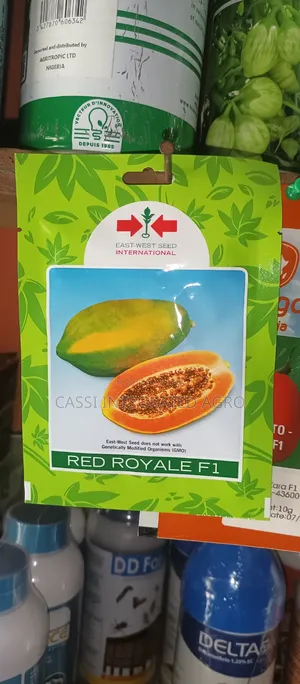 Red Royal F1 Papaya -100seeds