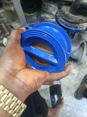 Non Return Valve
