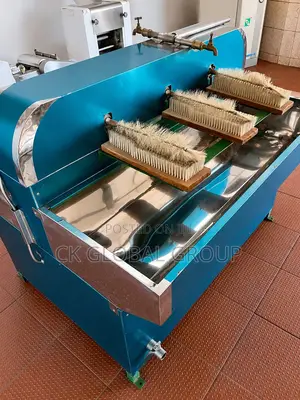 Bottle Washing Machine ( Semi-Automatic Brush-Type )