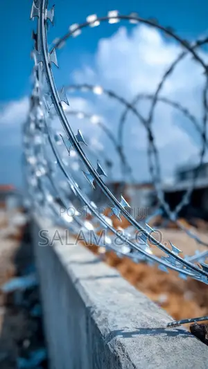 Heavy-Duty Concertina Razor Wire/ Barbed Wire - For High Security