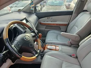 Lexus RX 350 AWD 2009 Gray