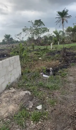 Thelight Land and Property