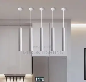 Luxury Ceiling Long Drop Light