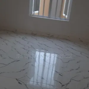 Professional Cleaning Services