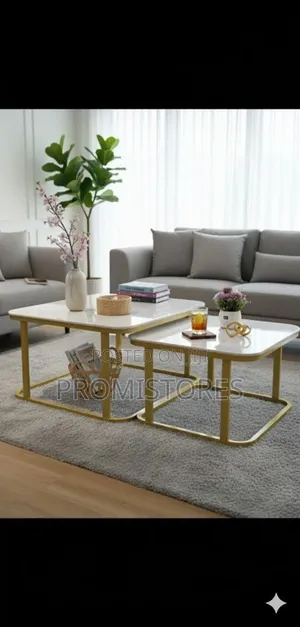Square Shape Real Marble Twin Centre Table 70cmx60cm