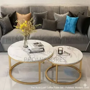 80cmx60cm Real Marble Twin Centre Table