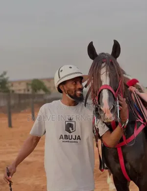 Hire Horses for Events