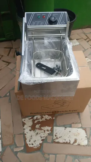 Single Basket Electric Deep Fryer