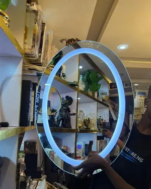Egg Shape Led Mirror