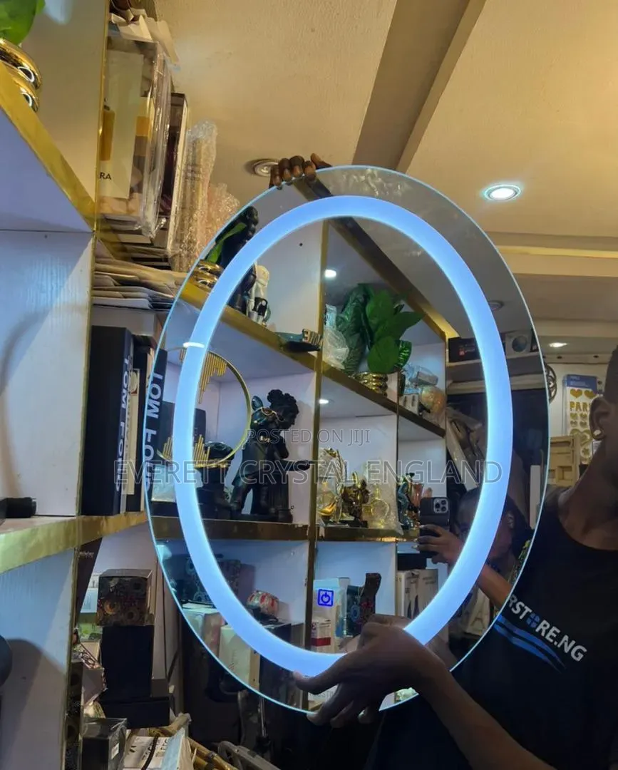 Egg Shape Led Mirror