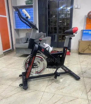 Original Stainless Bike