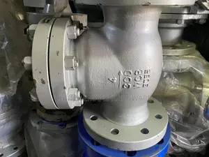 4”X400 Check Valve