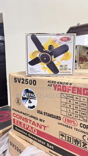 Ox Ceiling Fan 25 Inches [G-113] – High Performance Ceiling Fan