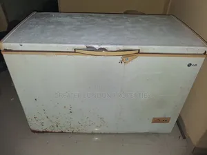 290 Liters Lg Deep Freezer
